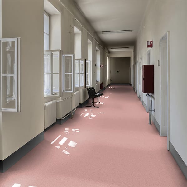 THH_21010668_001 Ambiente