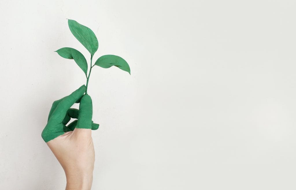 suelos y pinturas que respetan el medio ambiente